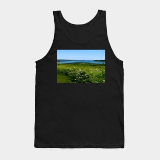 Fort Hill in Eastham, MA Tank Top